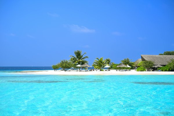 Voyage japon : trésors et secrets à découvrir absolument