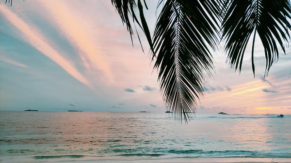 Carnaval de Nice vs Carnaval de Rio : comparatif