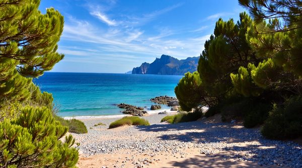Découvrez les emplacements de camping idéaux à marseille